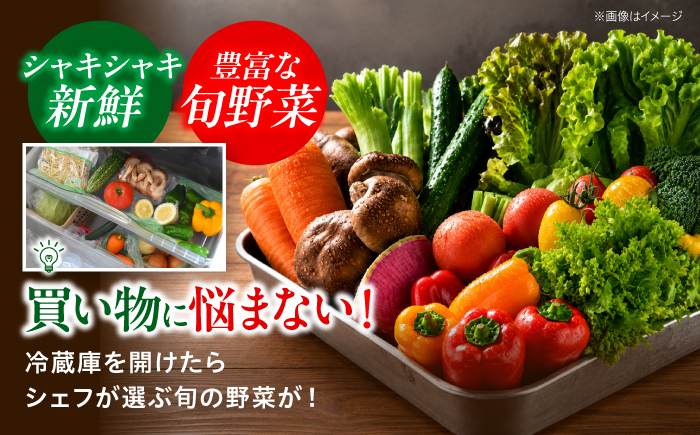 【シェフの目線】栽培期間中農薬不使用！大満足 旬のお野菜セット　愛媛県大洲市/有限会社ヒロファミリーフーズ[AGBX003]野菜 サラダ カレー 農業 トマト 料理  きゅうり 鍋 とうもろこし 果物