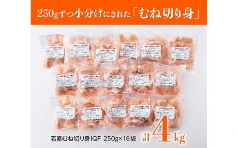 宮崎県産若鶏ムネ切身IQF 4kg (250ｇ×16袋)　肉鶏鶏肉とり肉国産鶏肉九州産鶏肉宮崎県産鶏肉送料無料鶏肉 [F0717]