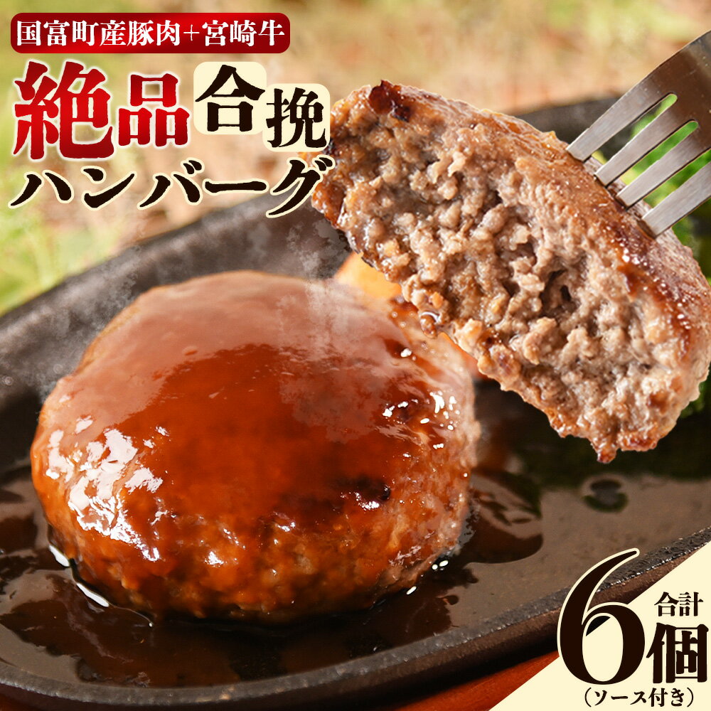 【ふるさと納税】＜絶品合挽ハンバーグ 6個＞※入金確認後、翌月末迄に順次出荷 ソース付き 国富産 豚肉 宮崎牛 ブランド牛 合いびき 合い挽き 160g ぶたにく 牛肉 おかず 一品 焼くだけ 簡単調理 お弁当 お取り寄せ おとりよせ グルメ 贈り物 ご家庭用【冷凍】