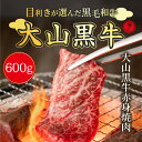 【ふるさと納税】HA-06　大山黒牛赤身焼肉　600g　黒毛和牛 和牛 牛 旨み 冷凍 鳥取県 鳥取県産 大山町 大山 大山産お土産 返礼品 国産 高級 高級品 お取り寄せ ご当地