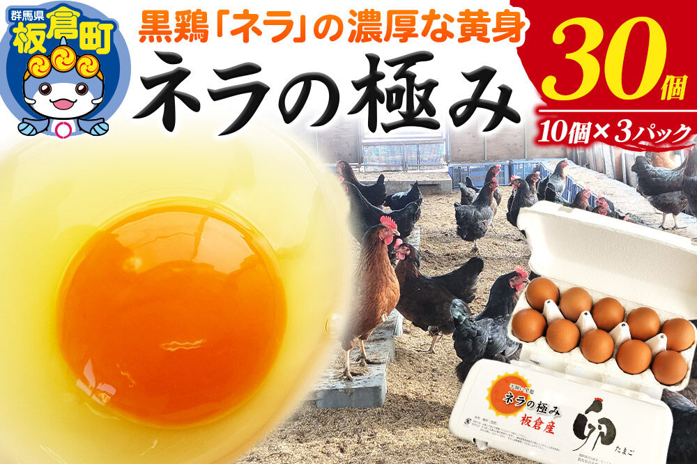 ネラの極み 卵 たまご 30個（10個×3パック） [ネラの極み 卵 たまご 玉子 タマゴ 黄身 濃厚 コク オランダ原産 黒鶏 群馬県 板倉町]