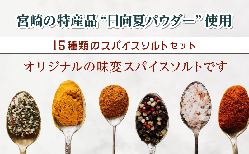 宮崎スープカレーセット(スープカレーほろほろチキン真空冷凍パック、スパイスソルト) スープカレー スパイスソルト セット チキン 骨付きチキン 鶏肉 鶏 肉 お肉 カレー スパイス ソルト オリジナル