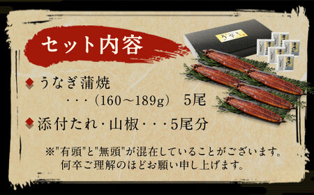 九州産 うなぎ 蒲焼 上 5尾 (1尾あたり160～189g)【順次発送】