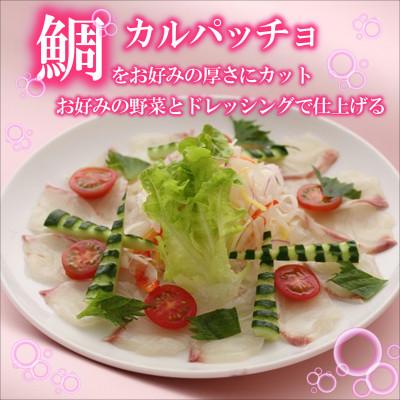 ふるさと納税 松浦市 鷹島のおいしかタイ(1.2kg) |  | 01
