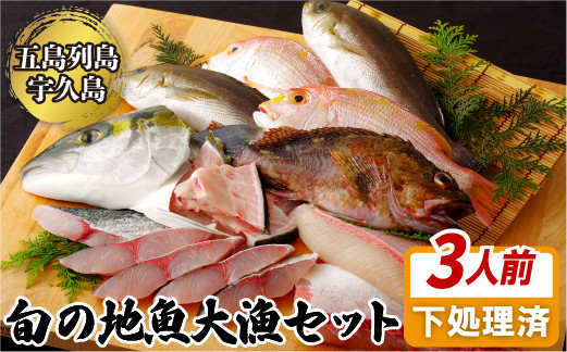 
                  【 産地直送 】 五島列島 旬の地魚 大漁セット (3人前) 鮮魚 ボックス 下処理済み 冷蔵 天然 ヒラマサ レンコダイ カサゴ イサキ 等 旬の 地魚 お届け 海鮮 魚介 魚 平政 連子鯛 鯛 宇久黒潮鮮魚 長崎県 佐世保市
                