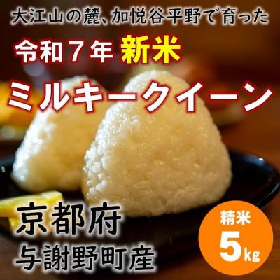 ふるさと納税 与謝野町 令和7年新米　大江山の麓、与謝野町で育った丹後産ミルキークイーン　精米5kg　おいしいお米を農家直送