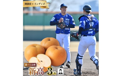 【新高3玉 選手サイン入りチェキ】 先行予約 徳島 インディゴソックス コラボ 梨 グッズ セット 《9月下旬～順次発送》 果物 フルーツ 野球 四国アイランドリーグ 阿波市