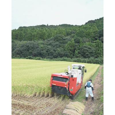 ふるさと納税 鹿島市 令和7年度産 鹿島市産 [さがびよりor夢しずく] 5kg 1袋 【品種指定不可】 玄米 |  | 03