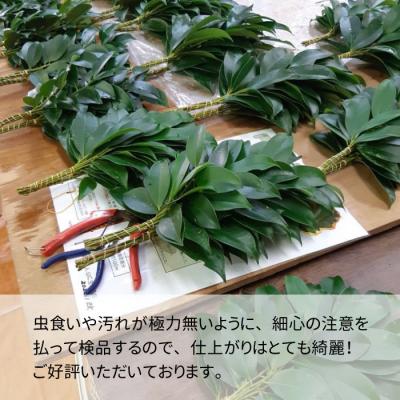 ふるさと納税 東白川村 【6ヵ月連続お届け定期便】 神棚用 国産榊 2束 |  | 02