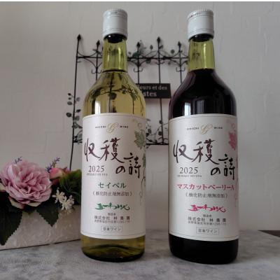 ふるさと納税 塩尻市 五一ワイン ヌーボー マスカットベリーA&amp;セイベル 2本セット 720ml×各1本