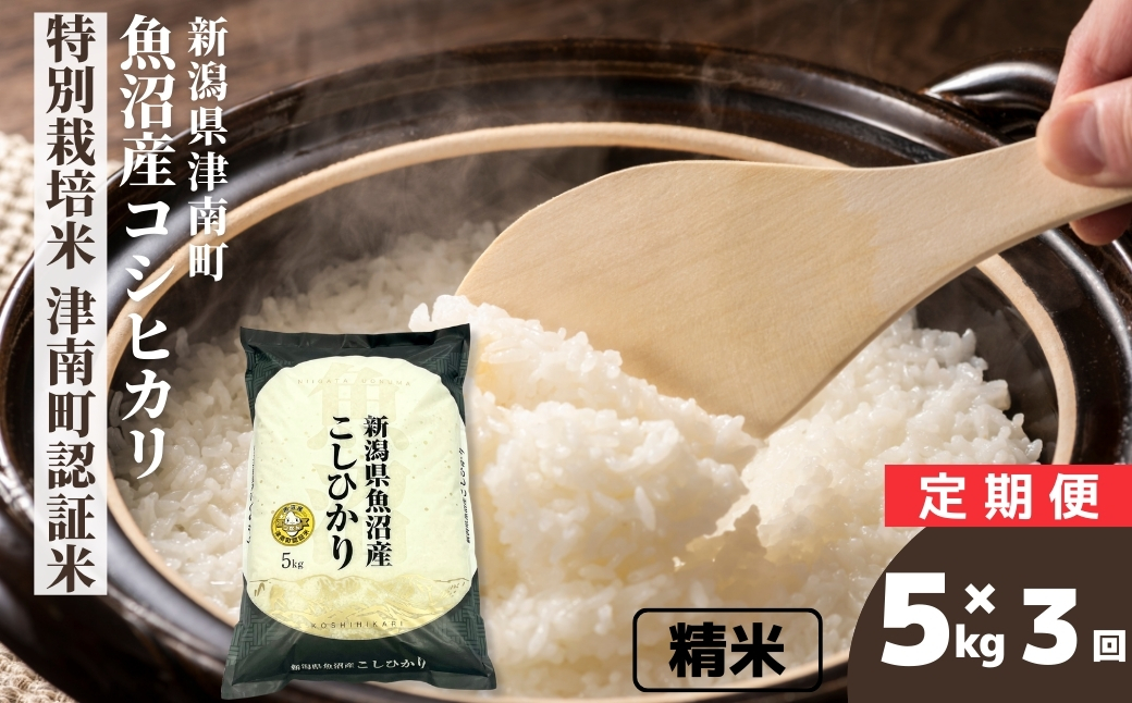 【3ヶ月定期便】【令和7年産】魚沼産コシヒカリ 特別栽培米 津南町認証米（5kg）新潟県 津南町 大阪屋商店