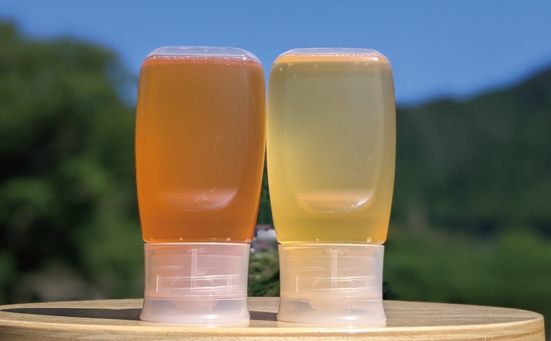 【先行予約 2025年6月20日より発送】合計600g 天然蜂蜜 国産蜂蜜 非加熱 生はちみつ 岐阜県 美濃市産 味比べ 蜂蜜300g入りピタッとボトル2本セットC5 深田養蜂のハチミツ