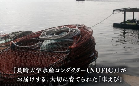 深江町漁協産車えび の生塩糀漬け ３-４人前  / 車えび 塩こうじ / 南島原市 / 三ツ池 [SCK004]