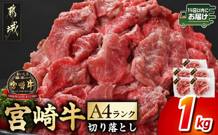 宮崎牛切り落とし1kg≪スキンパック包装でお届け!≫≪みやこんじょ快速便≫_13-2602-R (都城市) 牛肉 切り落とし 宮崎牛 和牛 国産 モモ肉 小分け 200g×5P 肉 牛丼 炒めもの カレー 肉じゃが