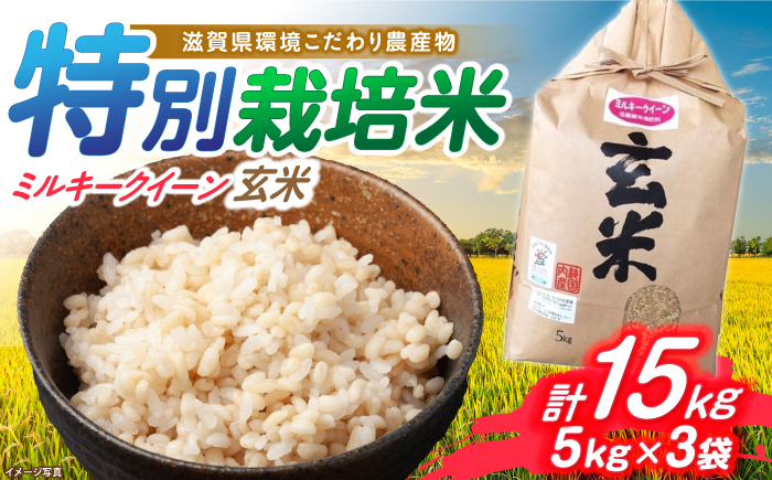 
            【新米：令和6年産】滋賀県 低農薬栽培 ミルキークイーン 玄米 5kg×3袋　滋賀県長浜市/有限会社もりかわ農場 [AQBL021] 米 お米 玄米 新米 15kg  米 お米 ご飯 ごはん ゴハン
          