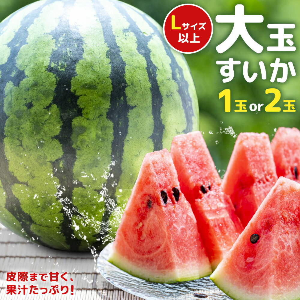 【ふるさと納税】【先行予約】大玉すいか 選べる内容量 1玉 約5kg または 2玉 約10kg 日本フルーツ株式会社《出荷時期をお選びください》熊本県 菊池市 すいか スイカ 大玉 熊本県産