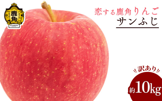 《 先行予約 》 鹿角 りんご 訳あり「サンふじ」約 10kg 【恋する鹿角カンパニー】 ●2026年12月上旬発送開始 家庭用 かづのりんご 食感 果汁 さっぱり リンゴ 完熟 旬 県産りんご 林檎 お中元 お歳暮 贈り物 お見舞い グルメ ギフト 故郷 秋田 あきた 鹿角市 鹿角 送料無料