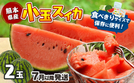 【7月以降発送 】 スイカ 王国 熊本 ！ 小玉 すいか 2玉 熊本県産 果物  西瓜 フルーツ スイカ 熊本県 玉名市