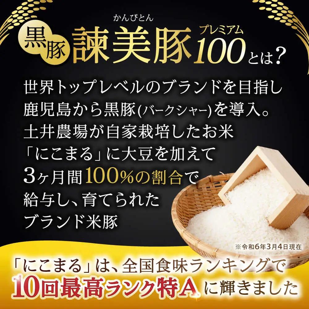 【3回定期便】＜特Aのブランド米で育てた＞黒豚諫美豚プレミアム100 5種セット 計1.2kg( ロースステーキ バラ モモ 切り落とし ひき肉 ) / 豚肉 ロース ステーキ 挽き肉 ミンチ / 諫