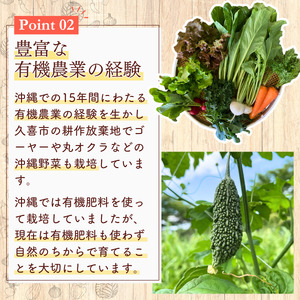 旬の野菜セット 5品目 特別栽培 採れたて 野菜