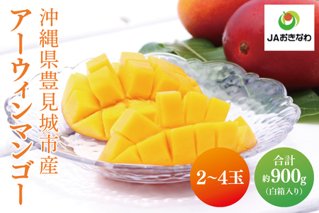 【2025年6月より順次発送】アーウィンマンゴー 2～4玉(約900g)【白箱】 ご家庭用｜マンゴー アーウィンマンゴー アーウィン フルーツ 果物 くだもの おきなわマンゴー おきなわ 沖縄県 豊見城市 家庭用(AE013)