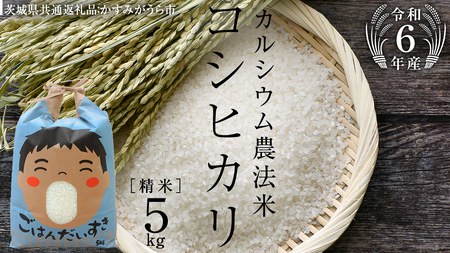 【 令和6年産 】 カルシウム農法米 コシヒカリ 精米 5kg ( 5kg × 1袋 ) (茨城県共通返礼品 かすみがうら市) 米 ごはん 粘り ツヤ コメ お米 白米 [EX005sa]