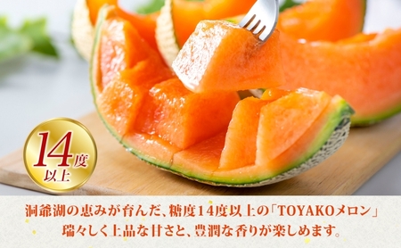 TOYAKOメロン 2玉 計4.8kg～5.4kg 2026年9月下旬～10月中旬お届け 先行予約 北海道産 メロン レッド113 糖度14度以上 赤肉 フルーツ 果物 旬 デザート 国産 贈り物 常