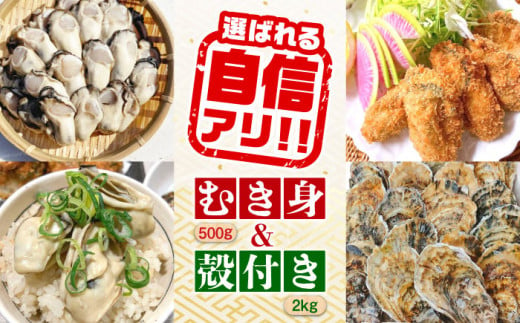 【12月12日（木）着】特選 牡蠣三昧！【生牡蠣】広島牡蠣 むき身500g／殻付き2kgセット 牡蠣 かき  カキ むき身 殻付き 広島 江田島市/株式会社門林水産[XAO015]