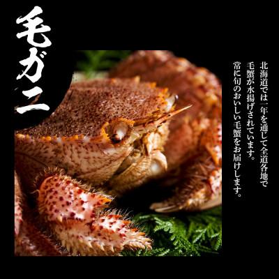 ふるさと納税 白老町 ズワイ姿 & 毛蟹 & ホタテ 食べ比べ セット BM073 |  | 02