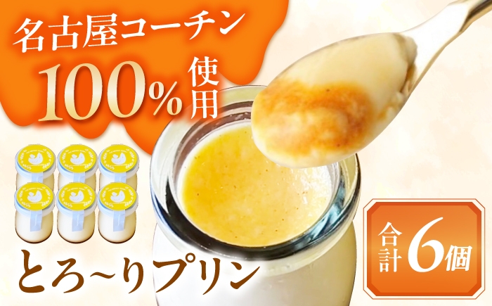 
                  ＼大人気／ とろ～り 名古屋コーチンプリン 6個入り スイーツ プリン 洋菓子 愛西市 / スイーツカフェハル [AEDP004]
                