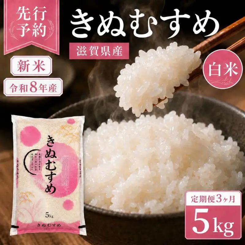 【令和8年産】 米 定期便 近江米 白米 5kg 先行予約 新米 きぬむすめ 3回定期便 精米 こめ コメ お米 ご飯 キヌムスメ 米定期便 3か月定期便 3ヶ月定期便 3回 3ヶ月 3か月 滋賀県 豊郷町