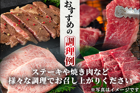 ＜【定期便6ヶ月】総重量2.85kgの宮崎牛味わい尽くし(ヒレステーキ込)＞宮崎県 国産【MI158-my】【ミヤチク】