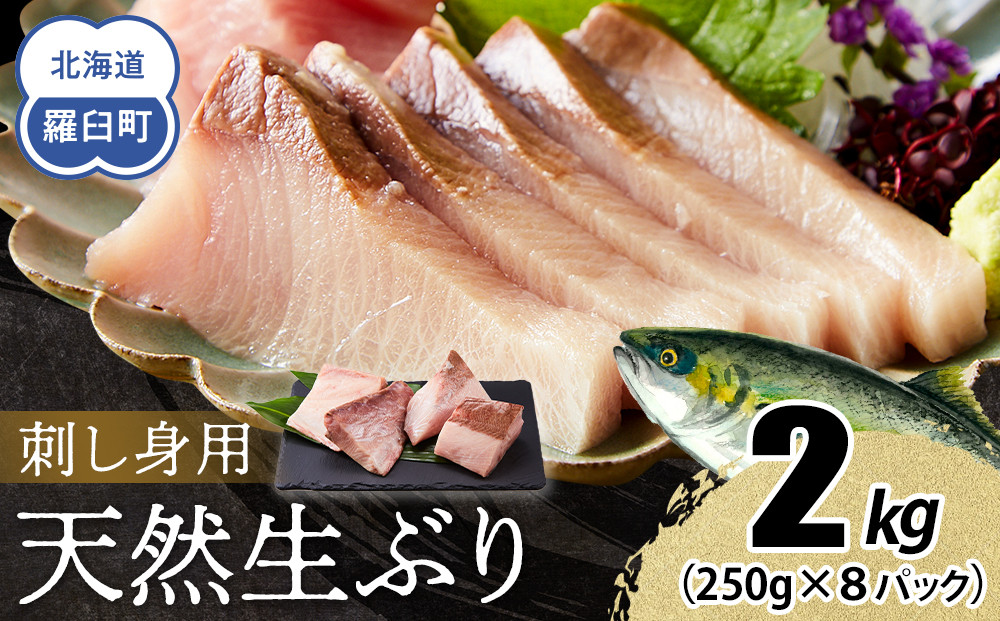 【2026年1月発送】北海道 知床羅臼産 天然ぶり刺身 2kg (250g×8パック) 魚 海産物 魚介 魚介類 ブリ 鰤 刺身 ご飯のお供 冷凍 生産者 支援 応援 016942_AA069VC01