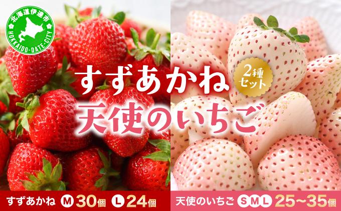 ＜先行予約＞ 北海道 伊達市 天使のいちご（S～Lサイズ 25～35個） すずあかね（Mサイズ30個またはLサイズ24個）【55250948】苺 イチゴ スイーツ デザート 果物 甘い 赤 白 鮮やか