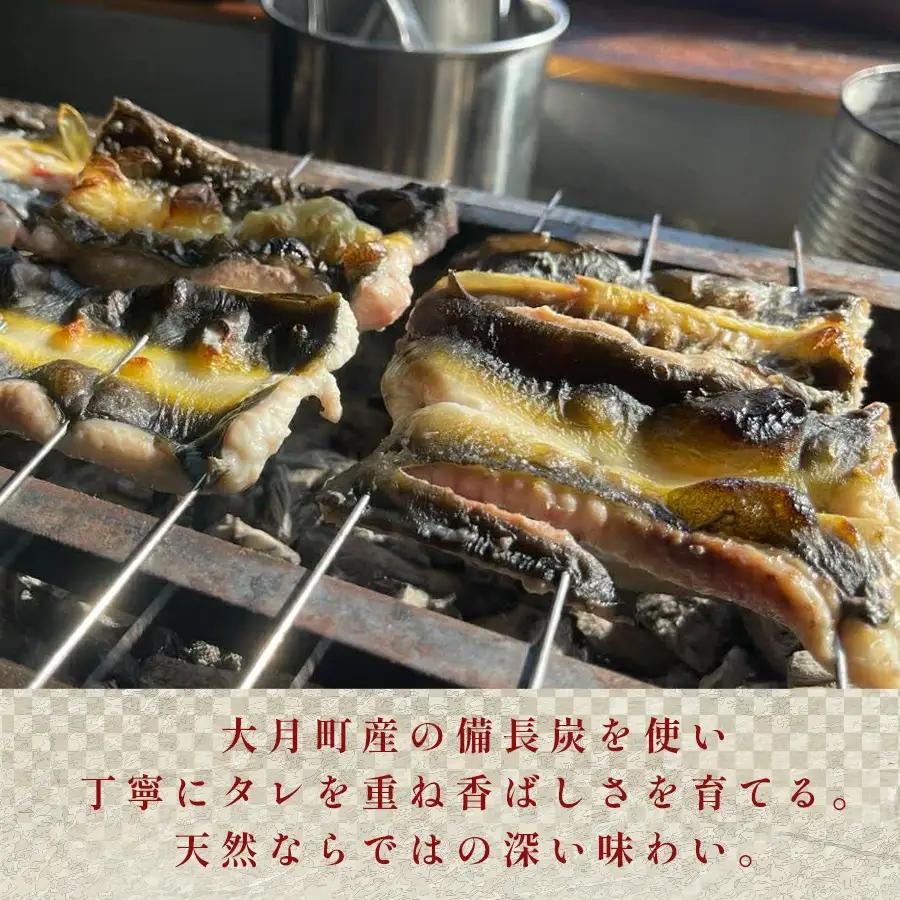 希少 天然 鰻 白焼き 約5-7人前 800g 国産 四万十川 うなぎ ウナギ  白焼 ウナギ白焼 鰻白焼き うな重 備長炭 炭火 炭火焼き 冷凍 湯せん 小分け 贈答 お取り寄せ ギフトご褒美 簡単
