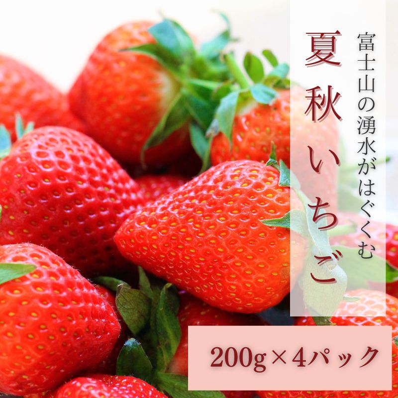 【ふるさと納税】【湧水のミネラルたっぷり！山梨の夏秋いちご】ご家庭用 200g× 4パック 2025年7月から順次発送予定 ※ 画像は大粒（参考）です。苺のサイズで個数が変わります！【ユニファーム】｜苺 イチゴ ギフト 果物 フルーツ いちご 甘い 農園直送