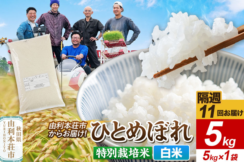 《2週間毎お届け》【定期便11回】令和8年産 新米受付【白米】ひとめぼれ 5kg（5kg×1袋）特別栽培米 秋田県産 [ひとめぼれ 新米予約 米 お米 白米 精米 特別栽培米 ブランド米 食卓 おにぎ