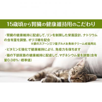 ふるさと納税 伊丹市 銀のスプーン三ツ星グルメ お魚クリーム 15歳頃から まぐろ・かつお味　猫のご飯[54030346] |  | 02