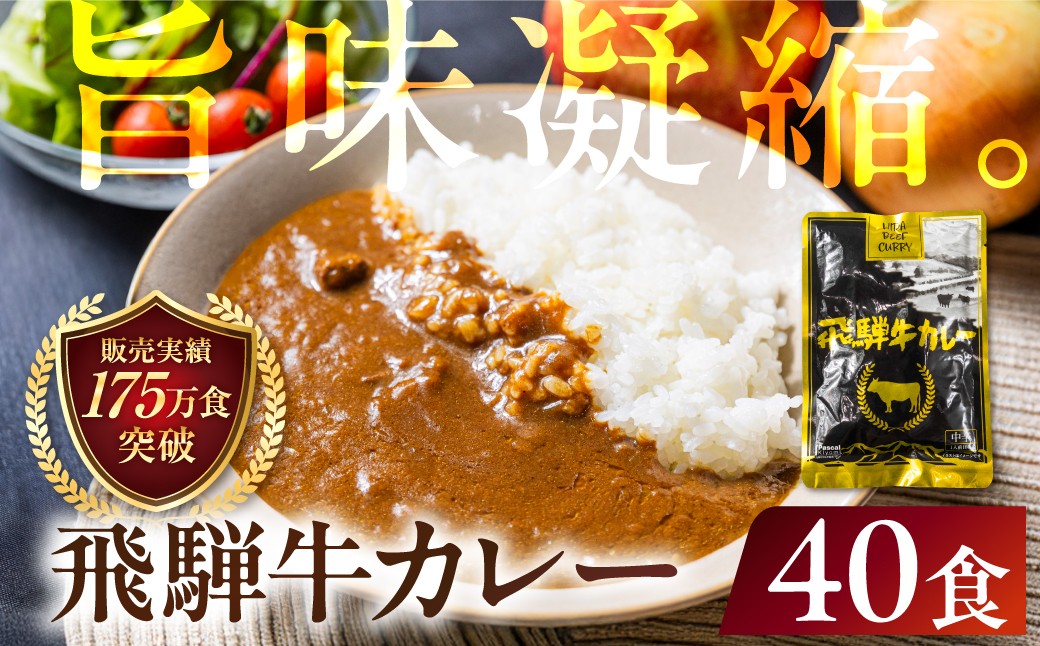 
                  飛騨牛カレー (40袋)  | 常温配送 訳あり 飛騨牛 肉 牛 カレー ビーフカレー 簡易包装 レトルトカレー ご当地カレー 人気 おすすめ 発送時期が選べる 便利 飛騨高山 ふるさと清見 DC009VP
                