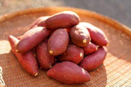 【下巣畑農産】阿蘇小国産シルクスィート さつま芋のマッシュ 300g×5 1.5kg さつまいも 加工品 テリーヌ 食感 ねっとり おやつ 菓子 離乳食 材料 シルクスィート 蜜芋 国際基準 GAP認