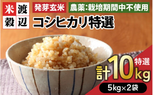 【令和6年産・新米】発芽玄米 コシヒカリ「特選」特別栽培米使用 5kg×2袋（計10kg）【米 こしひかり 玄米 ギャバ GABA 特別栽培 食物繊維 栄養 真空パック ごはん ご飯 おいしい ふるさと納税米】 [D-2920]