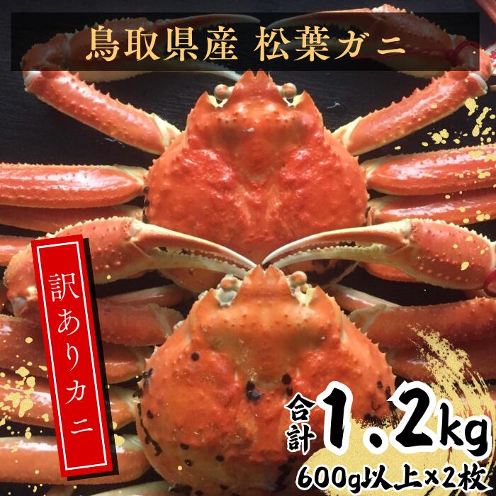 【ふるさと納税】鳥取県産 訳あり蒸し松葉ガニ 600g以上2枚 松葉蟹 松葉ガニ カニ かに 蒸しガニ 訳あり 早期受付 季節限定 カニしゃぶ 山陰 鳥取県 日吉津村 EY91
