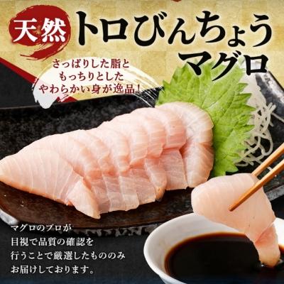 ふるさと納税 室戸市 厳選トロビンチョウ鮪500g以上 |  | 01
