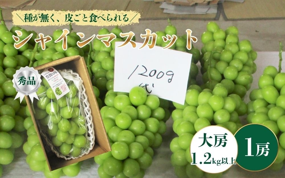 
                  ぶどう（シャインマスカット）大房１房（１.２ｋｇ以上）　0025-2610
                