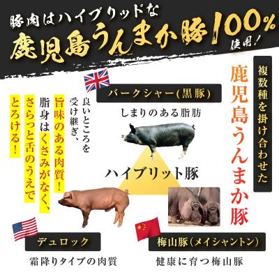 ふるさと納税 鹿児島市 鹿児島うんまか豚生餃子9パック(餃子108個入り・タレ付)　K005-003_02 |  | 01