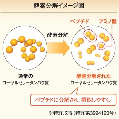 【毎月定期便】酵素分解ローヤルゼリー CoQ10(5935)全6回【配送不可地域：離島・北海道・沖縄県】