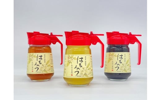 国産 はちみつ 百花 アカシア そば 300g ワンタッチボトル × 3本セット 計900g 長谷川養蜂 非加熱 瓶 希少 純粋はちみつ ハチミツ 蜂蜜 honey 蜜 ヨーグルト 朝食 ハニー 防災 備蓄 保存食  三重県 南伊勢町 伊勢 志摩