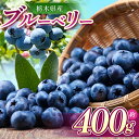 【ふるさと納税】【先行予約】ブルーベリー 400g | 発送 ブルーベリー 大きい 特大 旬 産地直送 新鮮 果汁 甘い あまい 大容量 人気 高評価 栃木県 真岡市 送料無料