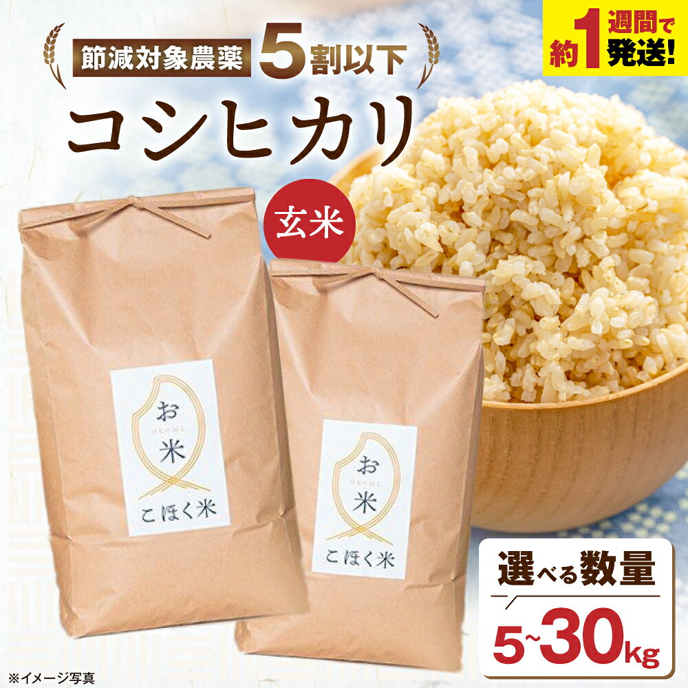 【ふるさと納税】玄米 コシヒカリ 令和7年産 環境こだわり米 選べる内容量 5kg 10kg 20kg 30kg お米 こめ コメ げんまい 国産 滋賀県長浜市/エース物産 [AQAK001]