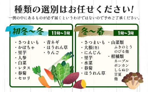 【定期便 12回配送】広島県庄原産「旬の野菜」詰め合わせ箱（13～15品目）野菜セット やさい 12ヵ月 12か月 12ヶ月 1年 1年間 定期 頒布会